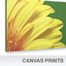 Canvas Prints