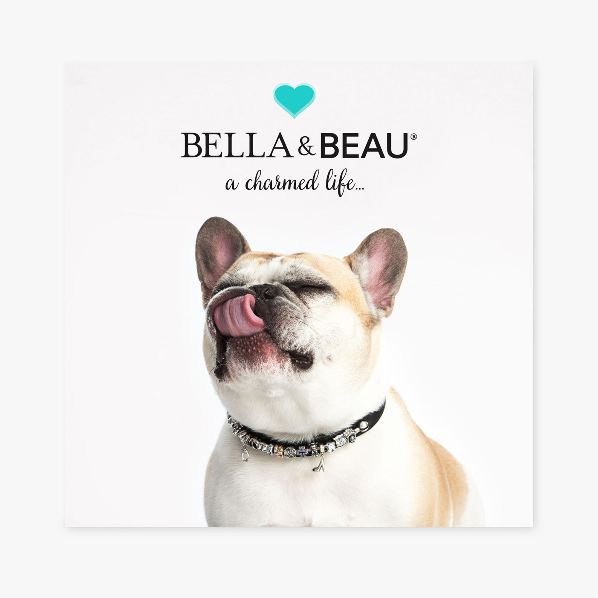 Bella & Beau Charmed Collars: How It Works