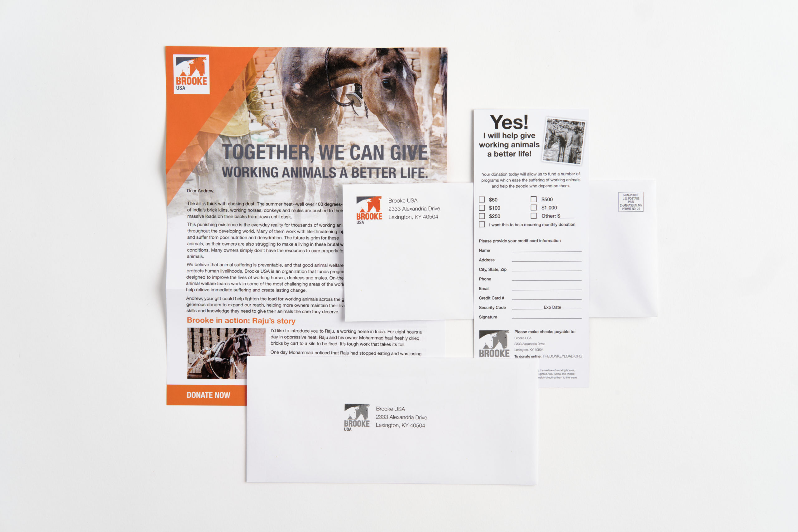 A letter mail printed with animal rescue information with matching envelopes and rack card.